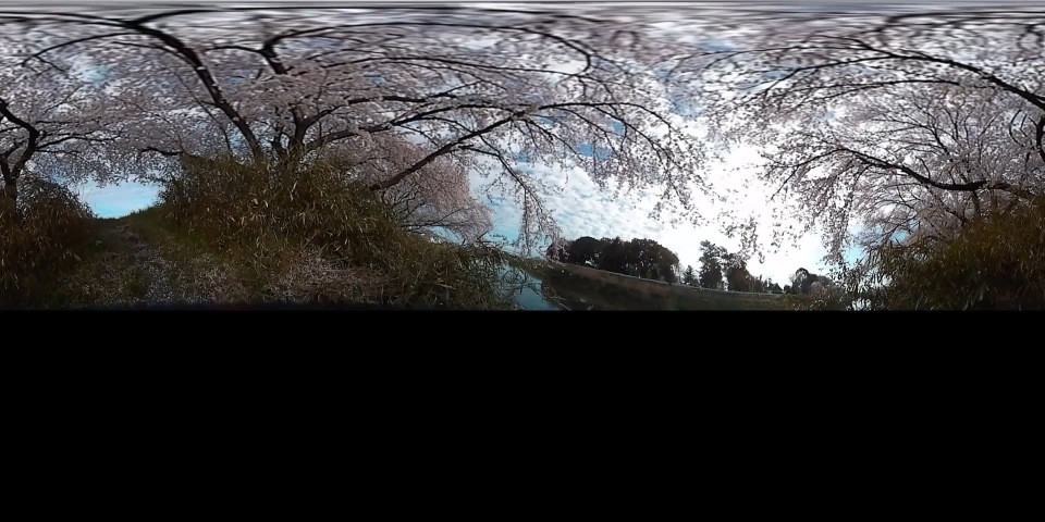 VR资源网 sakura桜360度VR全景视频- Kodak PIXPRO SP360)