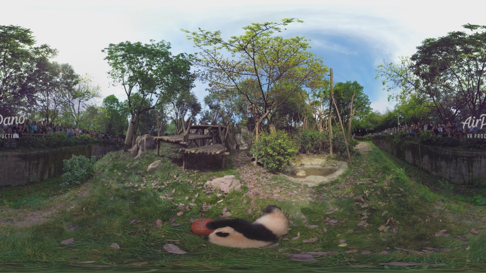 【360° VR】中国成都熊猫基地,8K航拍视频_超清 4K【VR资源网】