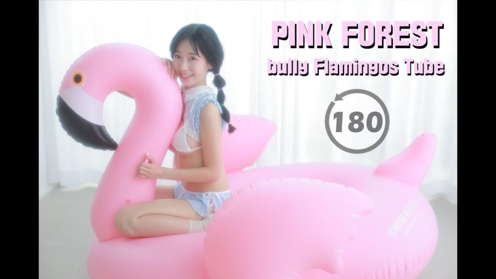 VR资源网[PINK FOREST] bully Flamingos Tube FULL 180 3D VR 학튜브 괴롭히기VR